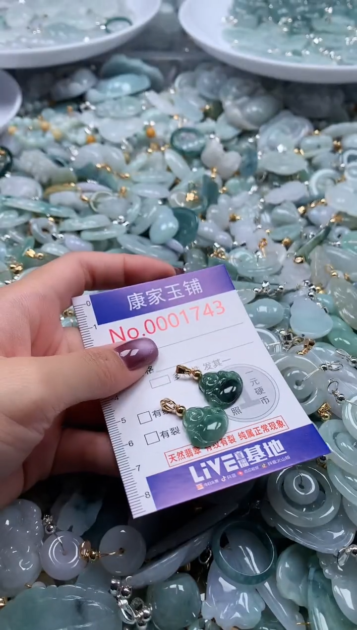 翡翠未镶嵌吊坠(不含链)多样性发其一1743（一个）