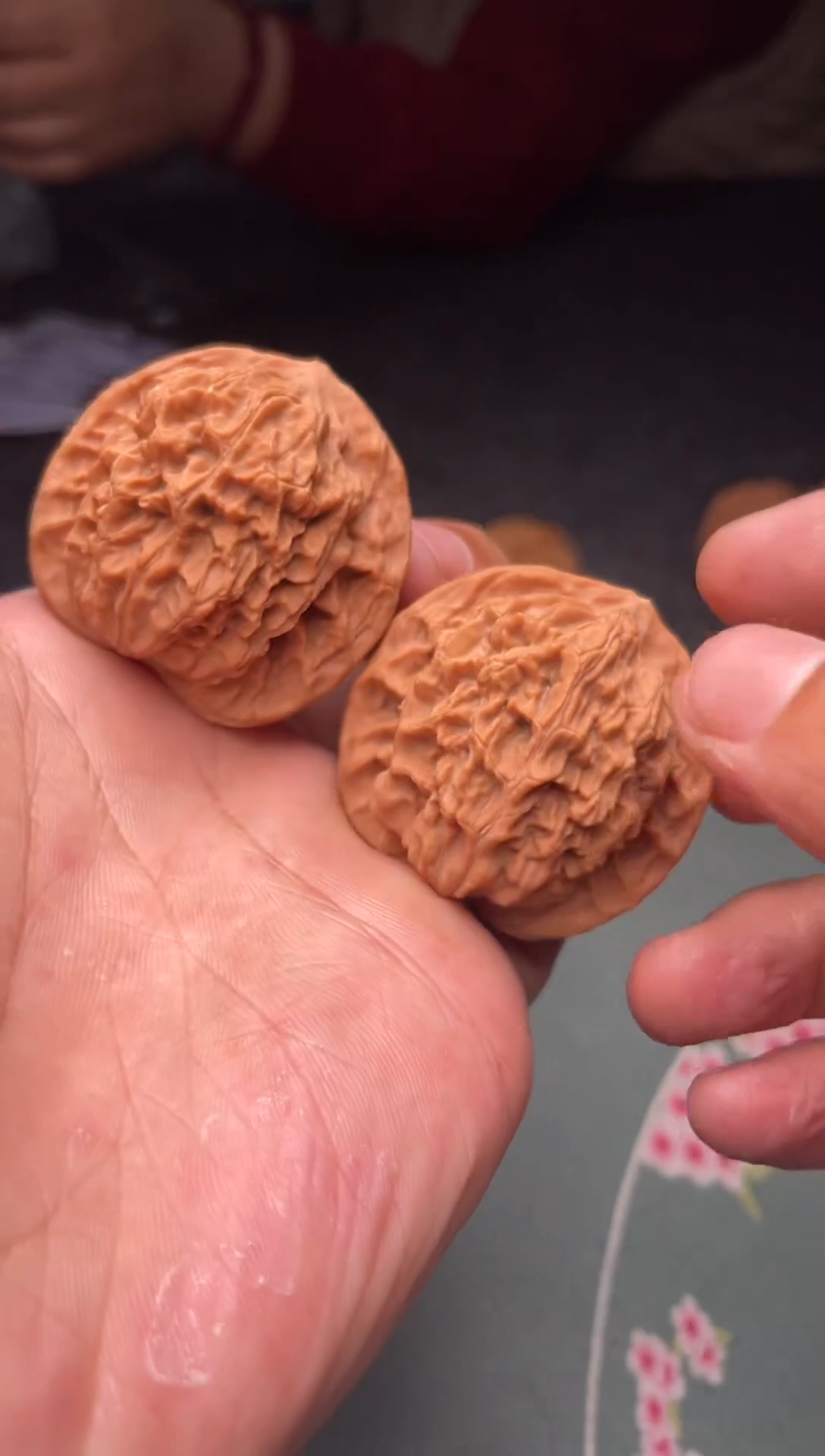 把件文玩核桃a96  盘龙纹 42尺磕尖 