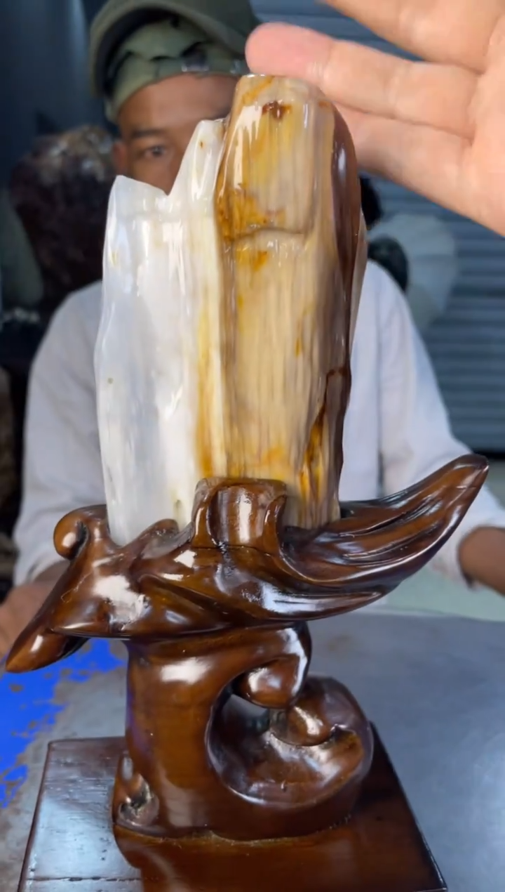 未镶嵌摆件硅化玉12