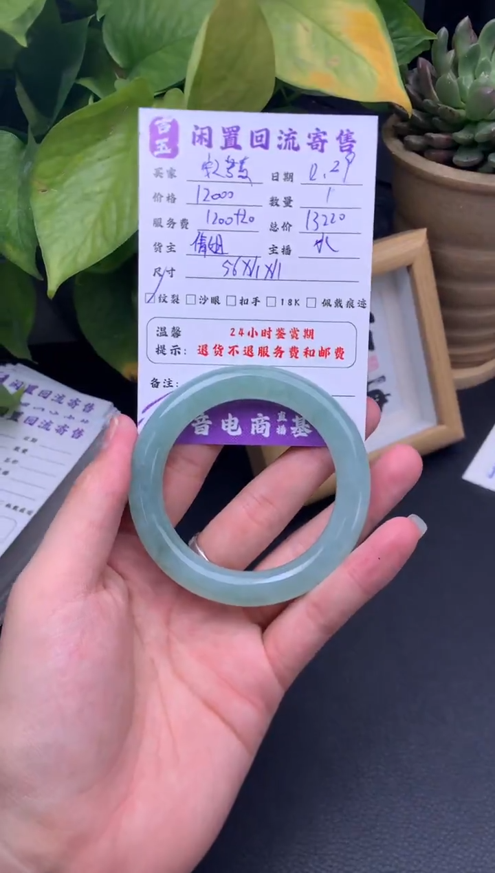 未镶嵌手镯翡翠?****?手镯