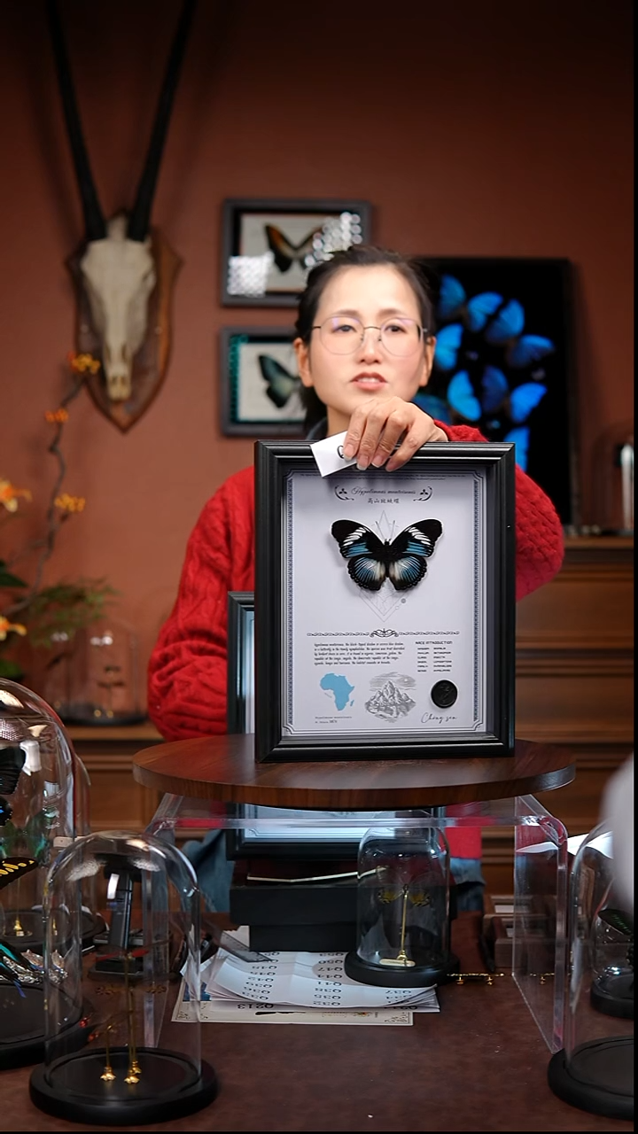 Q6          高山斑蛱蝶