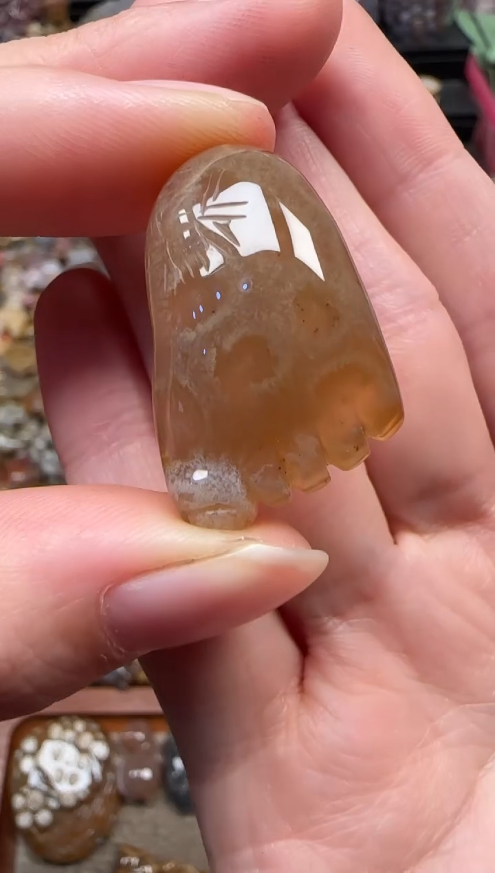 颈饰未镶嵌硅化珊瑚（珊瑚玉）859