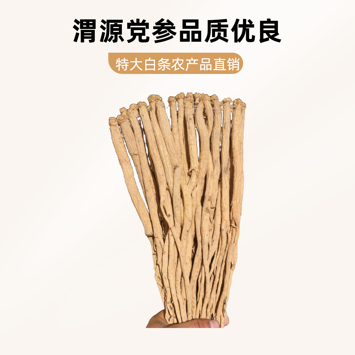 甘肃渭源产地直发(无硫特大条）白条党参，烽哥精选你值得拥有
