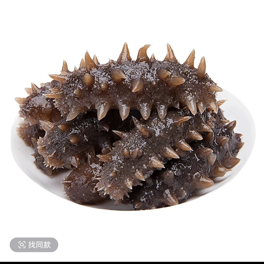 试吃款（半斤）【通货精品纯Q纯弹】鲜口即食海参正宗辽刺参现场称重