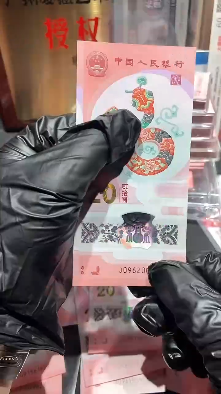 【闪购商品】龙珠号·············