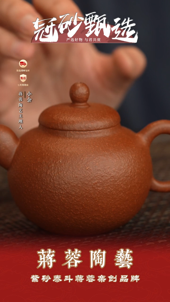 茶壶紫砂蒋蓉陶艺185