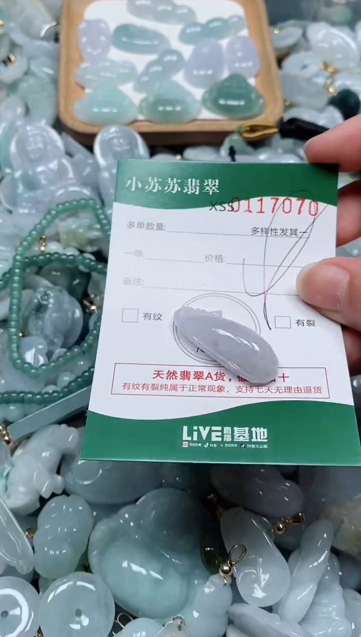 【闪购商品】翡翠颈饰未镶嵌闪购商品0117070