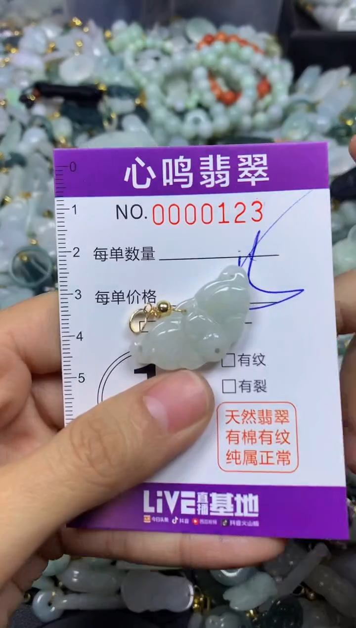 【闪购商品】翡翠颈饰未镶嵌闪购00123