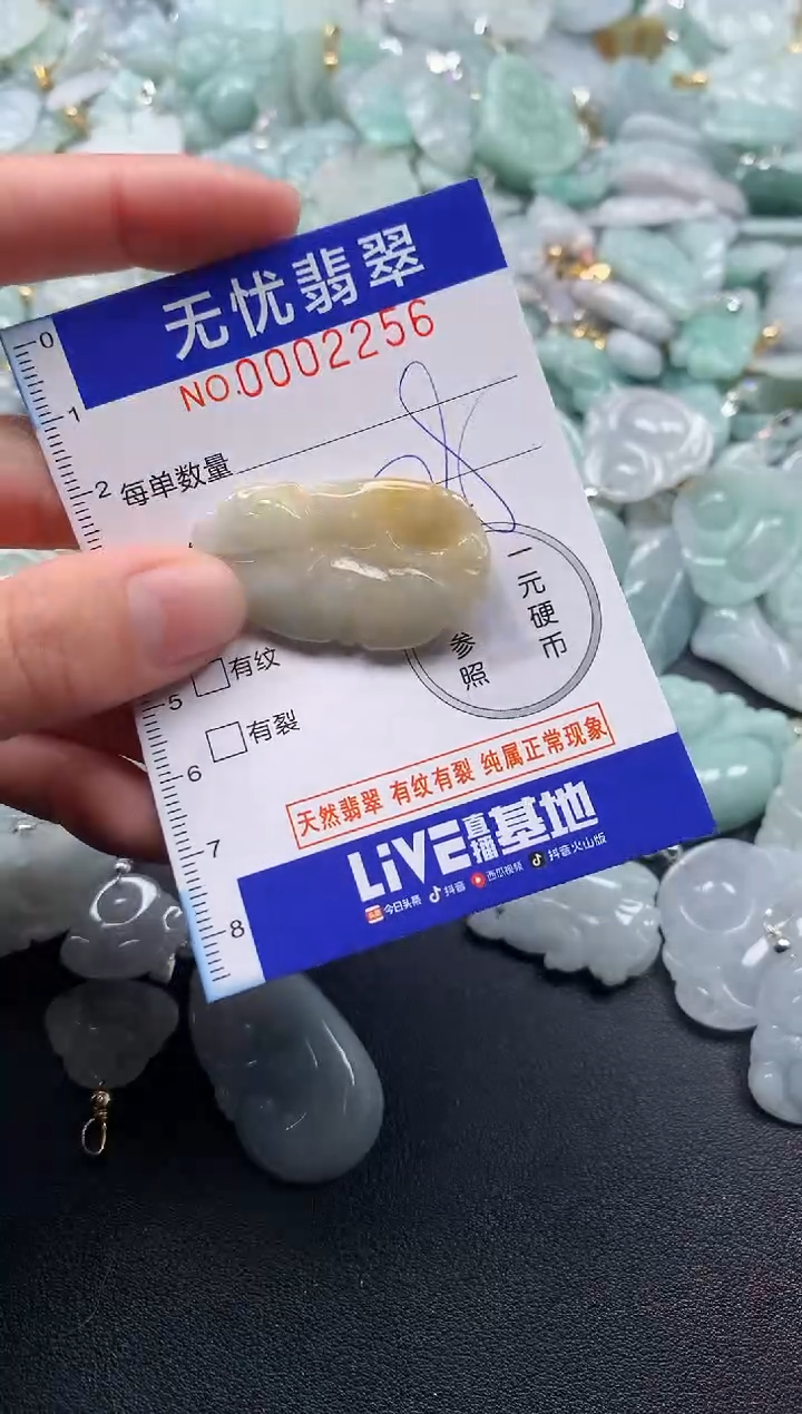 颈饰未镶嵌翡翠2256