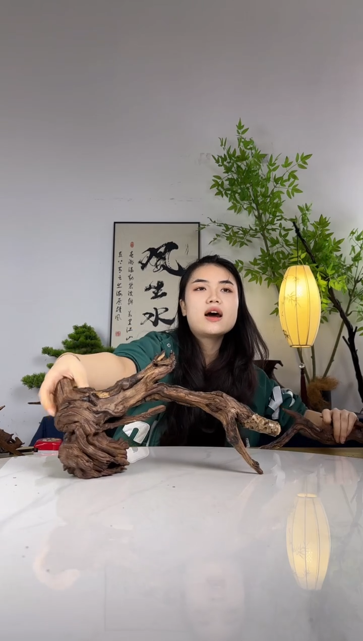 S****?拍这个定向编号27