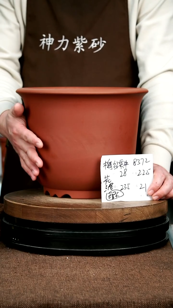 紫砂花盆花卉园艺微瑕8372