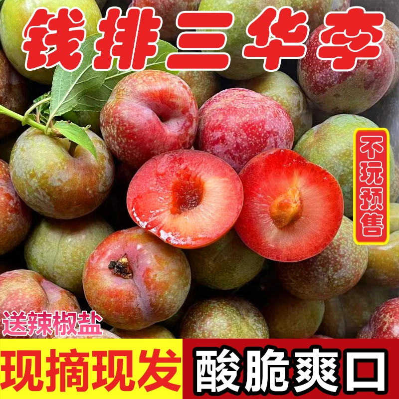 正宗钱排银妃三华李(中大果)