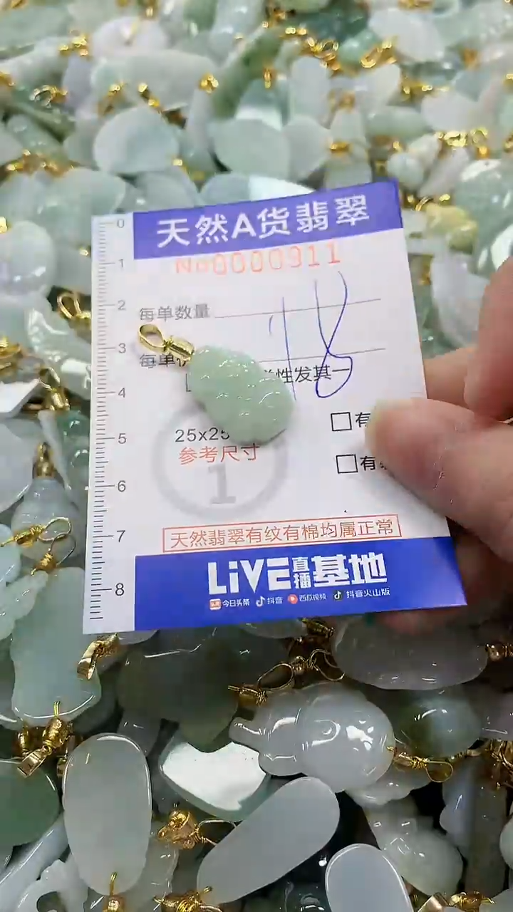颈饰未镶嵌翡翠纯天然a货翡翠