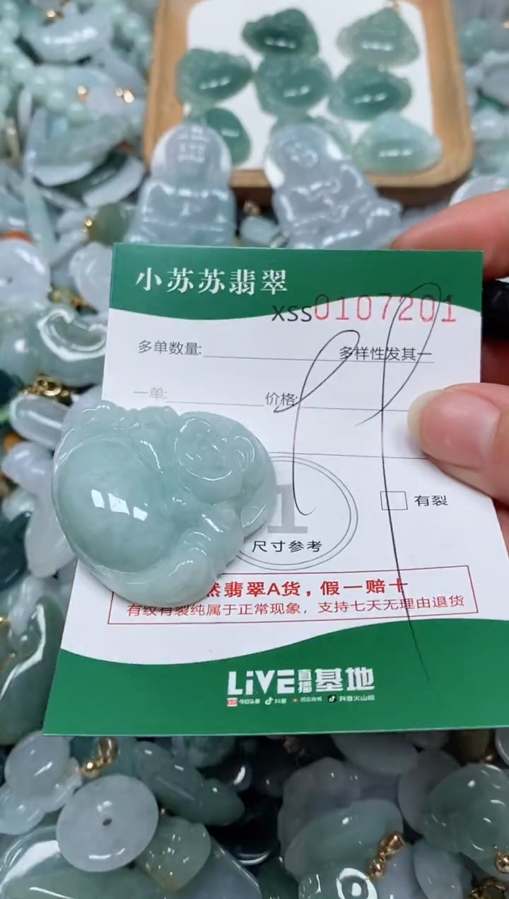 【闪购商品】翡翠颈饰未镶嵌闪购商品0107201
