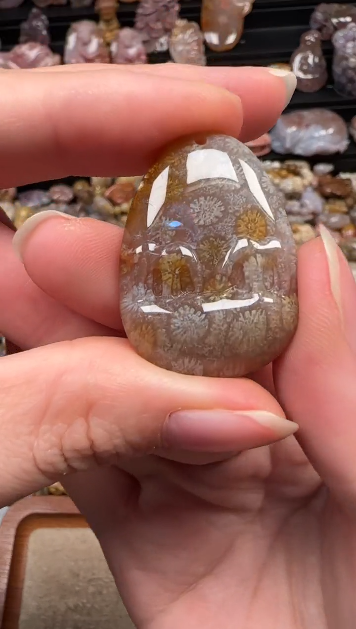 颈饰未镶嵌硅化珊瑚（珊瑚玉）739