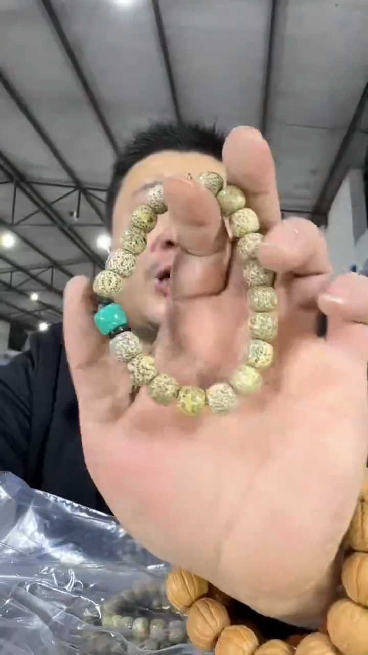 【闪购商品】星月菩提手串H62实物为准