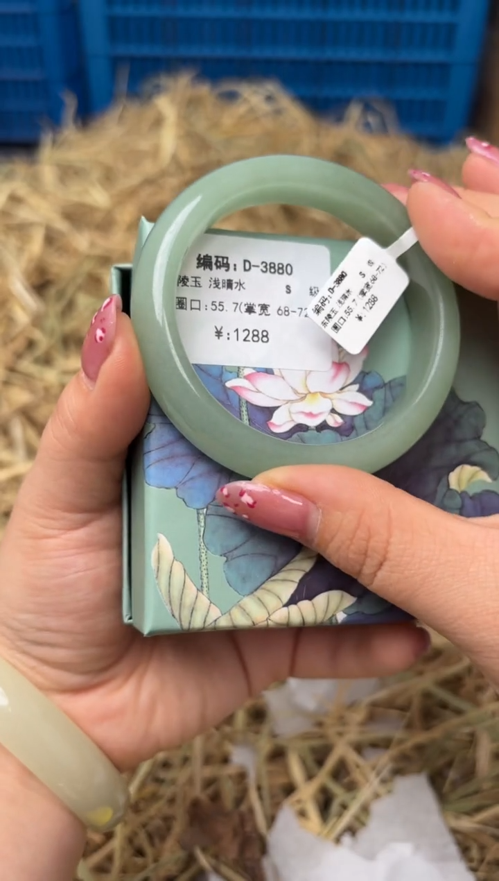 未镶嵌手镯石英质玉D-3880