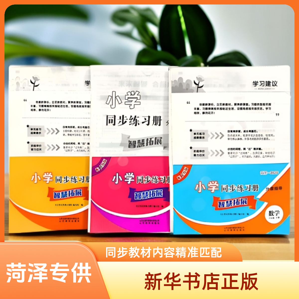 （菏泽）中小学生同步练习册智慧乐园 智慧拓展