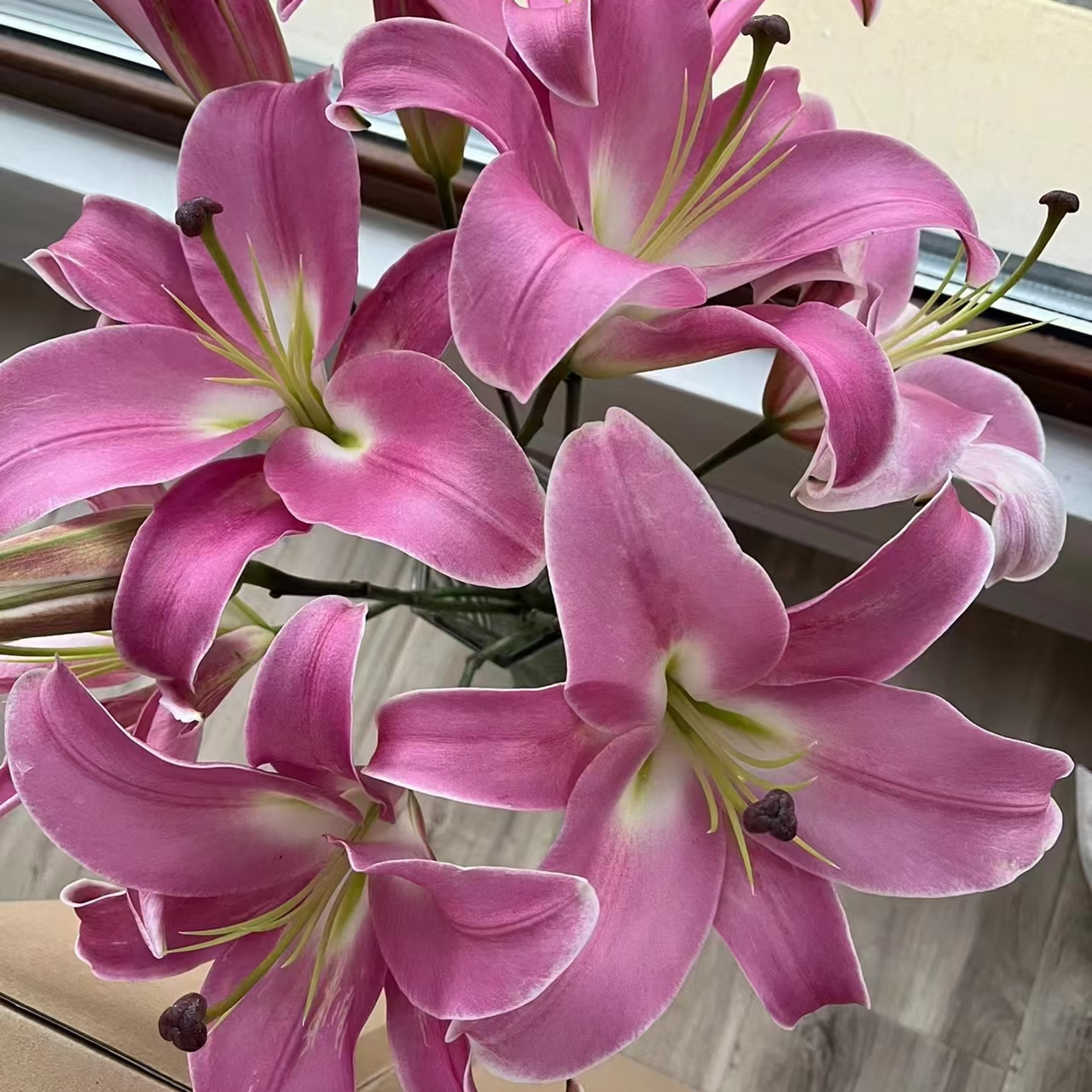 【2单发货】罗宾娜百合3支