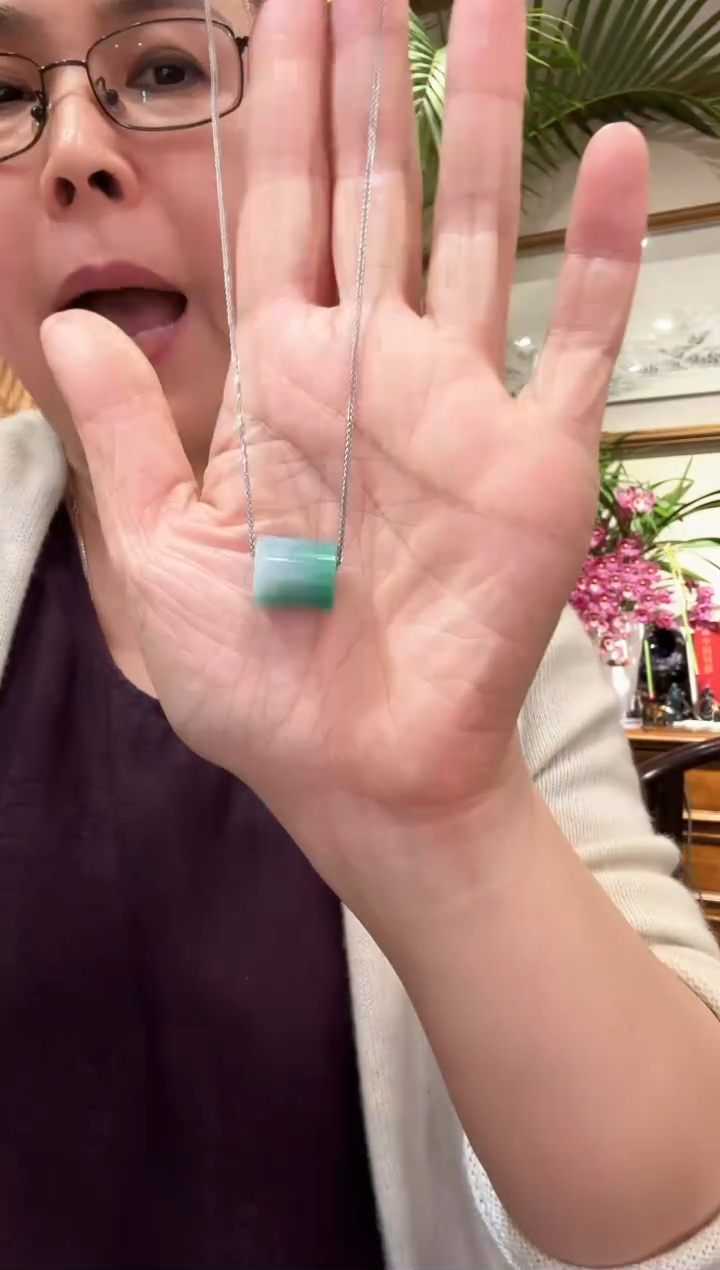 【闪购商品】翡翠颈饰未镶嵌国风