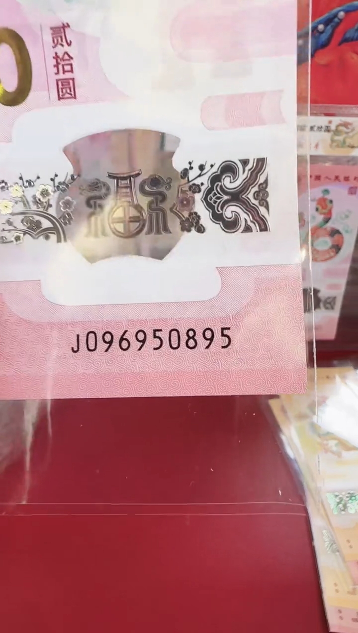 【闪购商品】塑料2025蛇钞单张裸啊啊啊啊啊