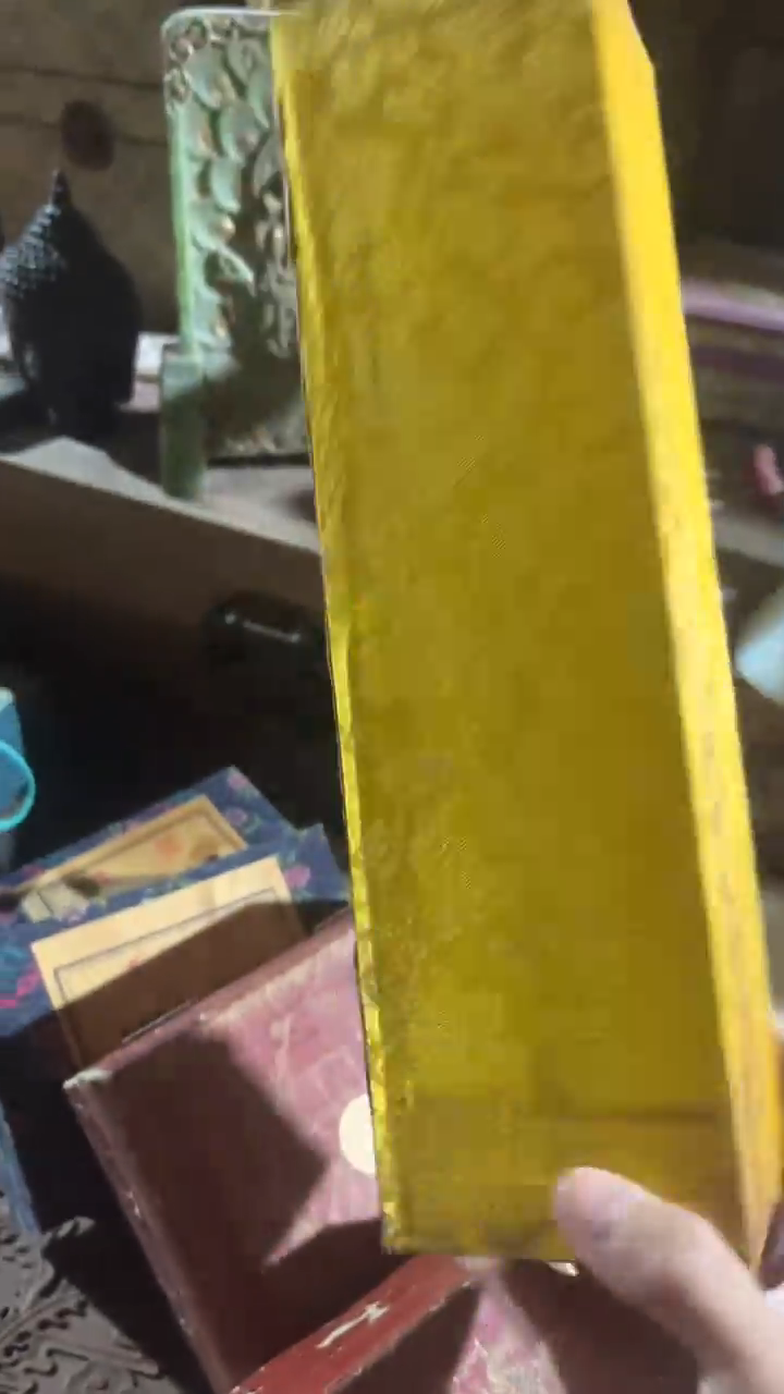 香榧木（1个李金色小盒子）