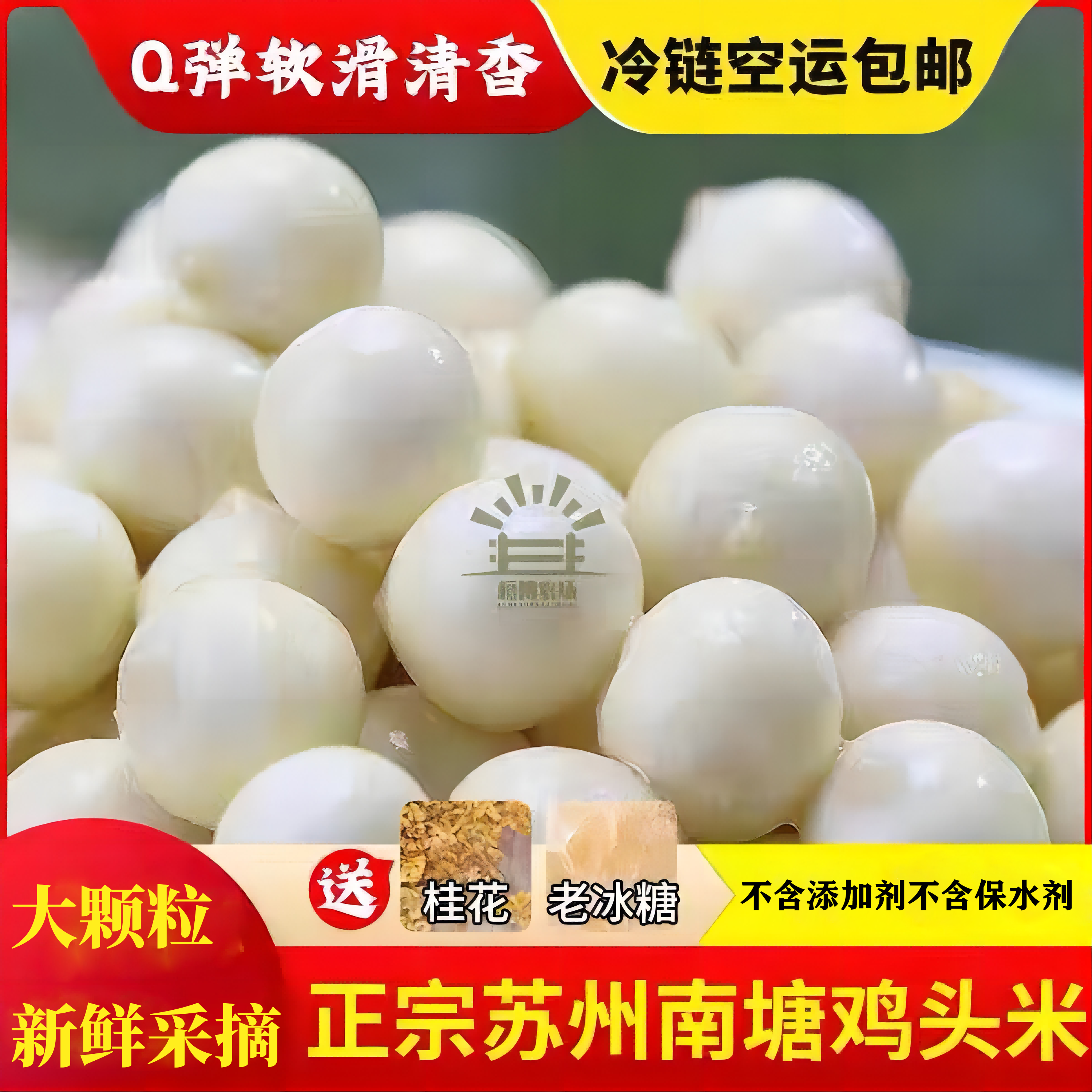 苏州鸡头米纯手工采摘新鲜鸡头米芡实软糯清香Q弹鲜嫩冷链发货