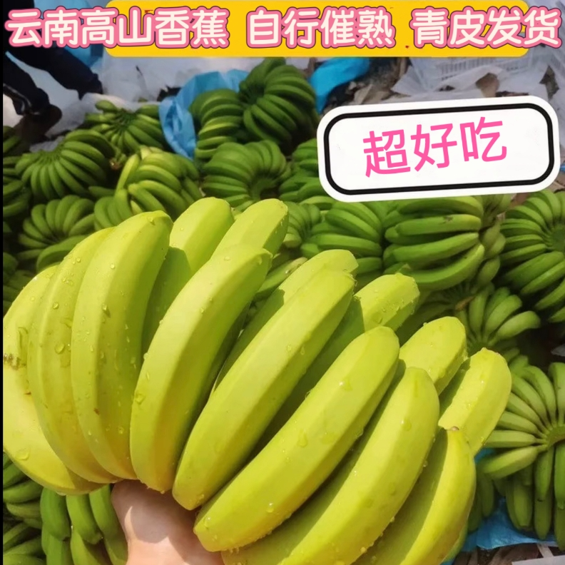 【青皮发货/催熟后食用】高山青皮香蕉自行催熟更健康软糯香甜