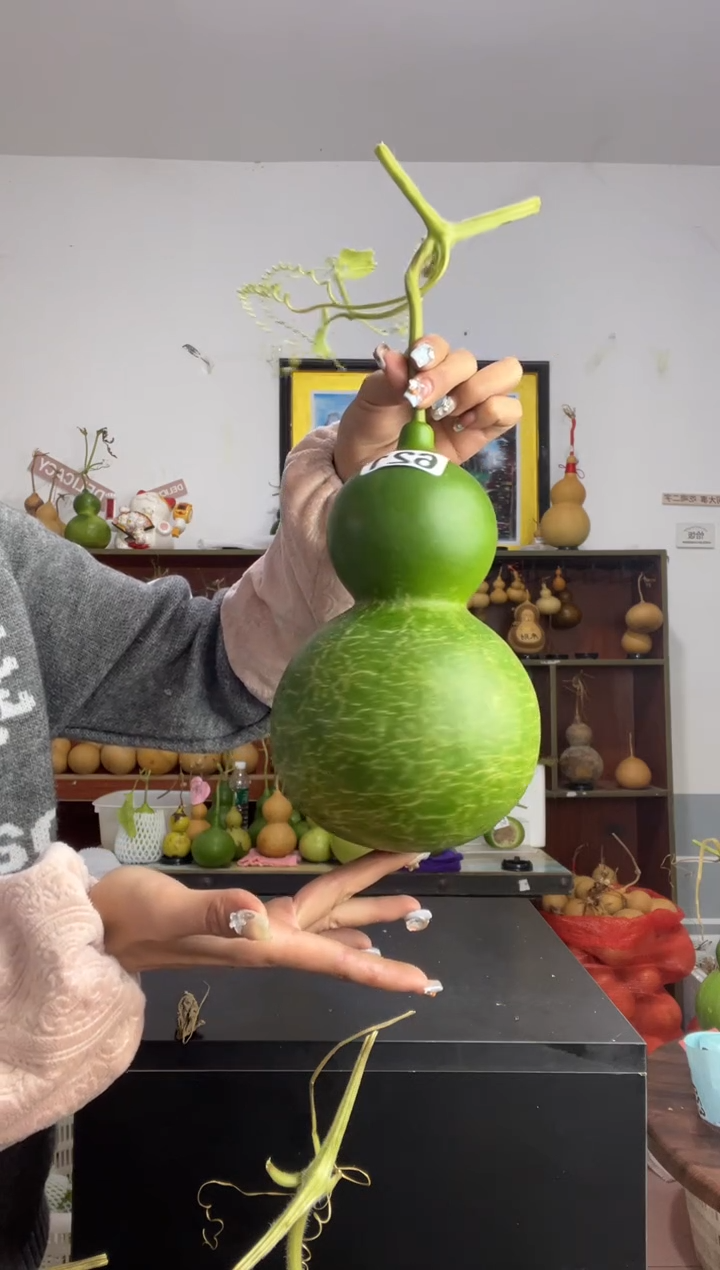 宝**?621天然葫芦摆件 一物一拍龙头不保售后