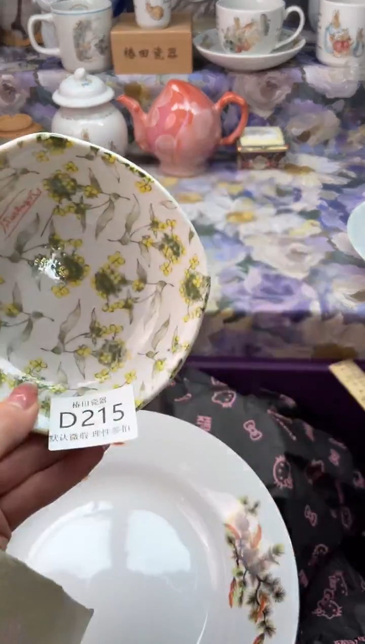 瓷片飞****活瓷片瓷片          D 215