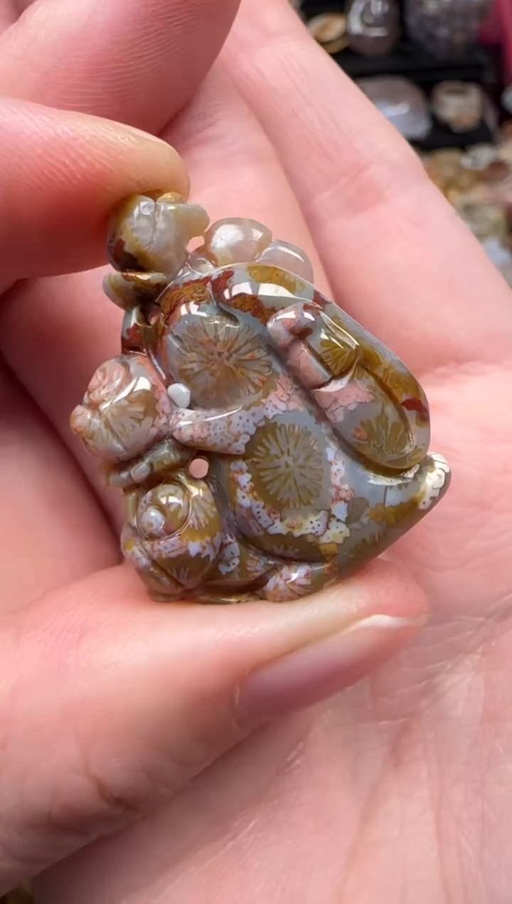 颈饰未镶嵌硅化珊瑚（珊瑚玉）861