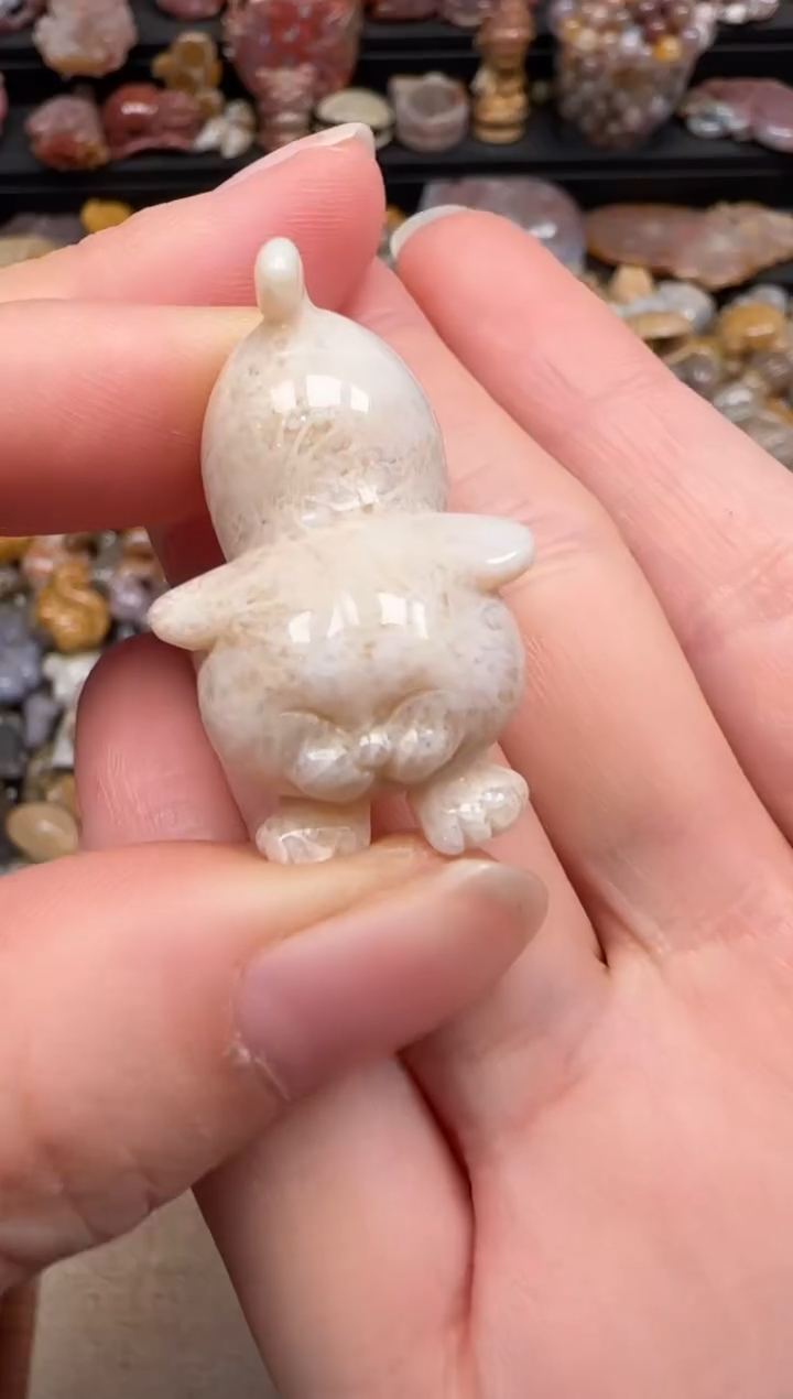 硅化珊瑚（珊瑚玉）未镶嵌颈饰447