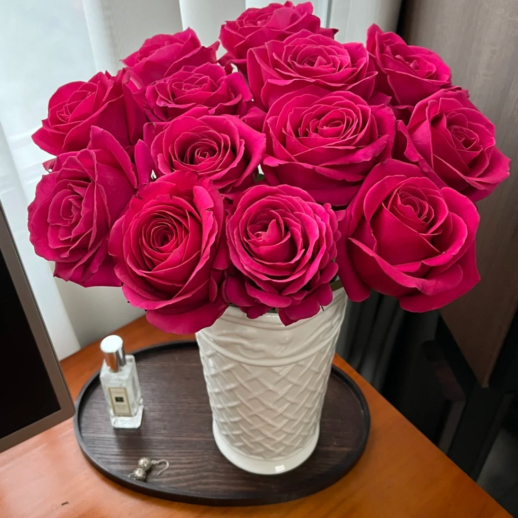 【两单顺丰一单普快】弗洛伊德玫瑰玫红色鲜花直播间现场直播卖花