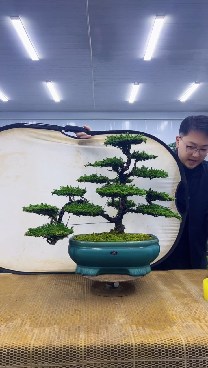 无花朵0000000000000000