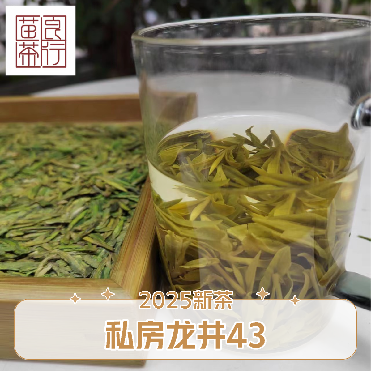 【私房龙井43】2025年高山龙井43龙井茶礼盒装茶叶浓香型春茶