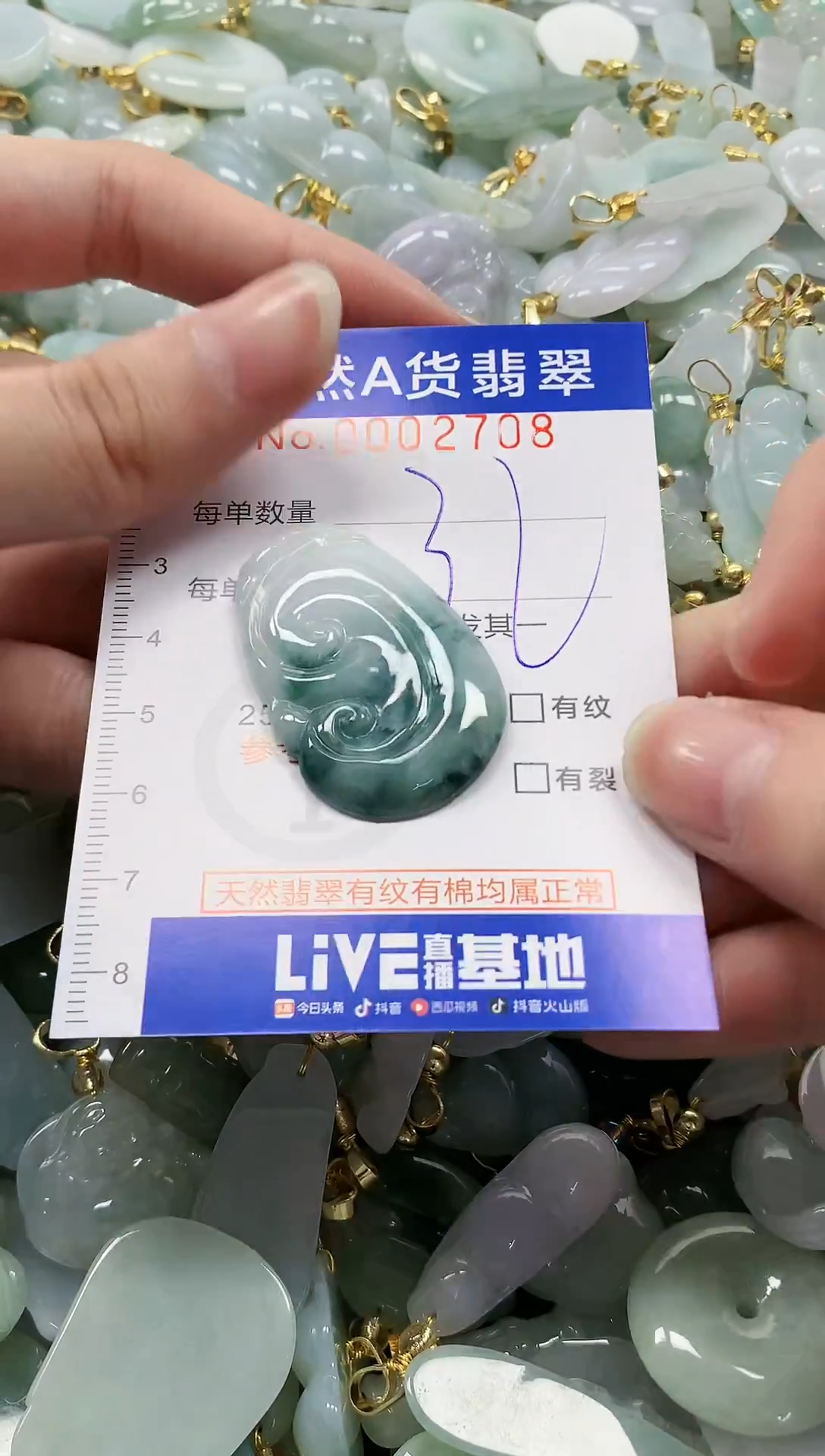 颈饰未镶嵌翡翠纯天然a货翡翠