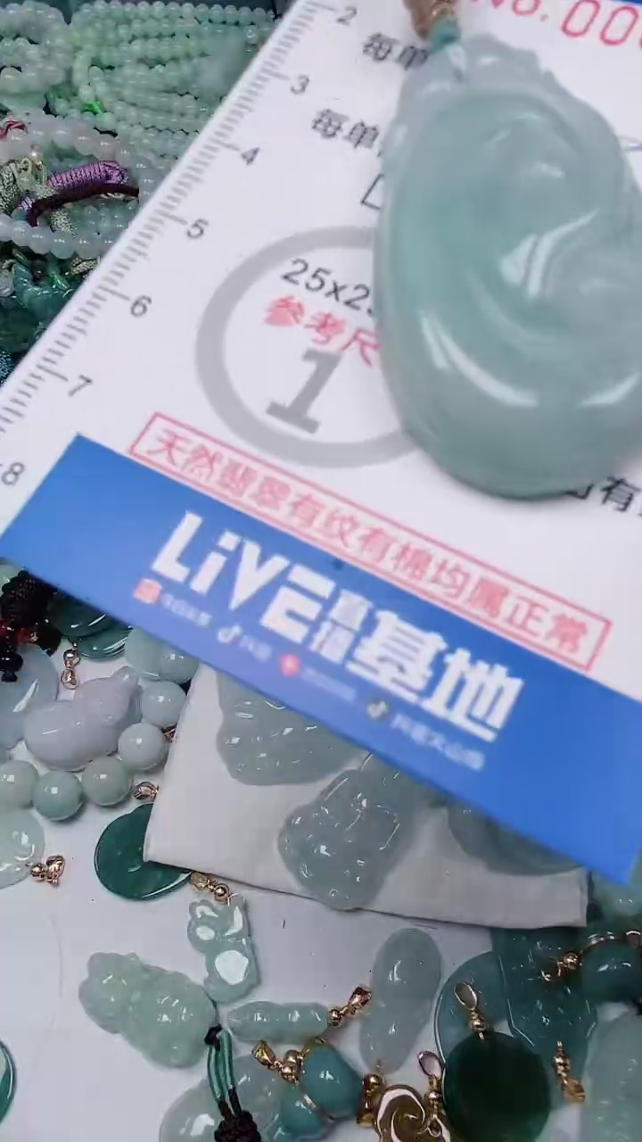 【闪购商品】翡翠颈饰未镶嵌00004349