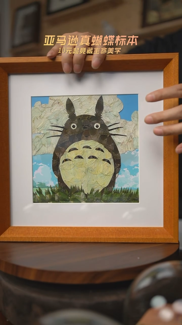 有机玻璃湫*龙猫蝶翅画B13