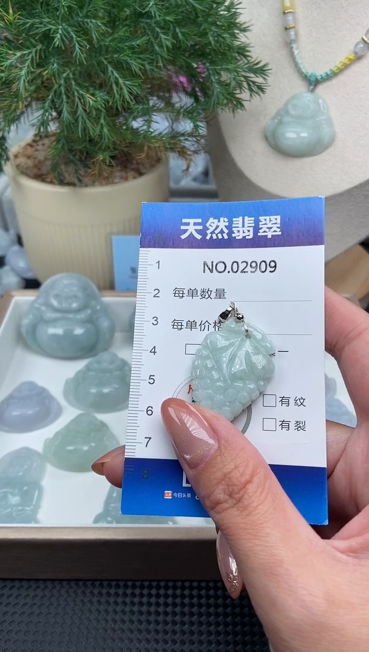 颈饰未镶嵌翡翠纯天然A货缅翡2909
