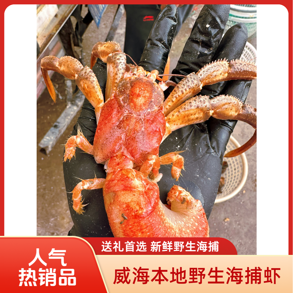 【威海野生虾怪】带壳新鲜虾怪特大中大混装10-15只3斤装保鲜不保活