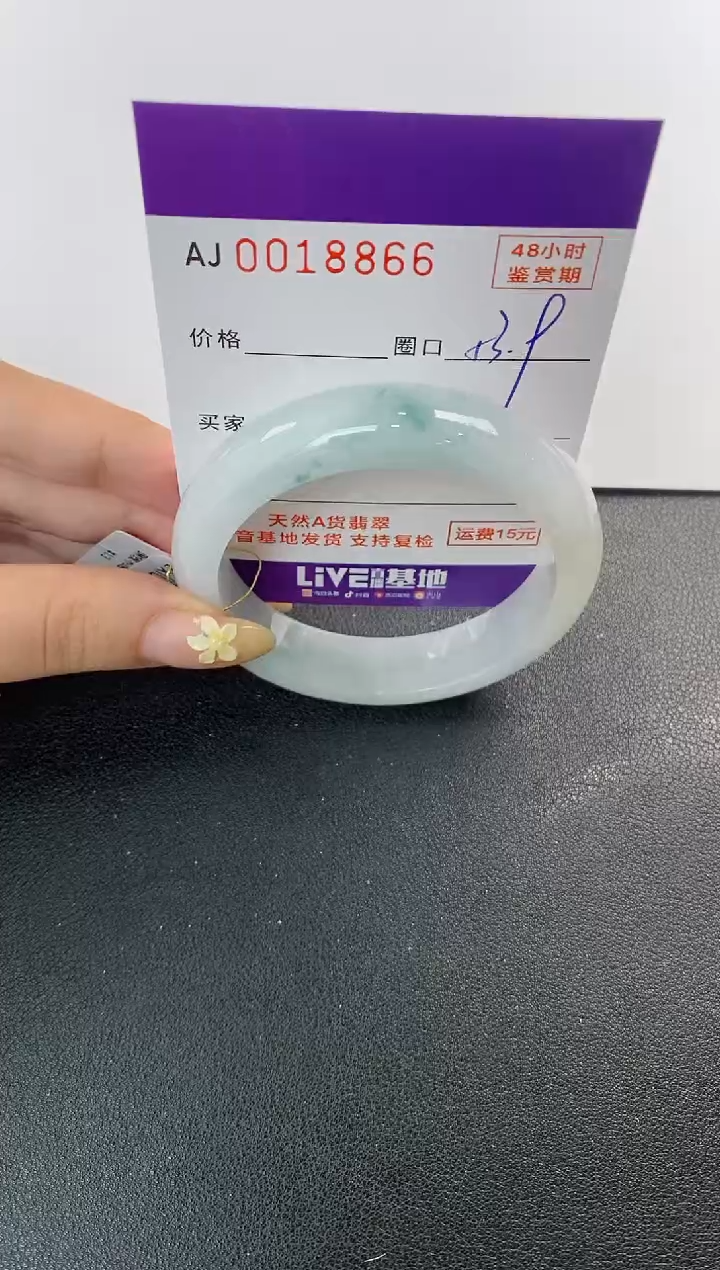 未镶嵌手镯翡翠天然A货翡翠