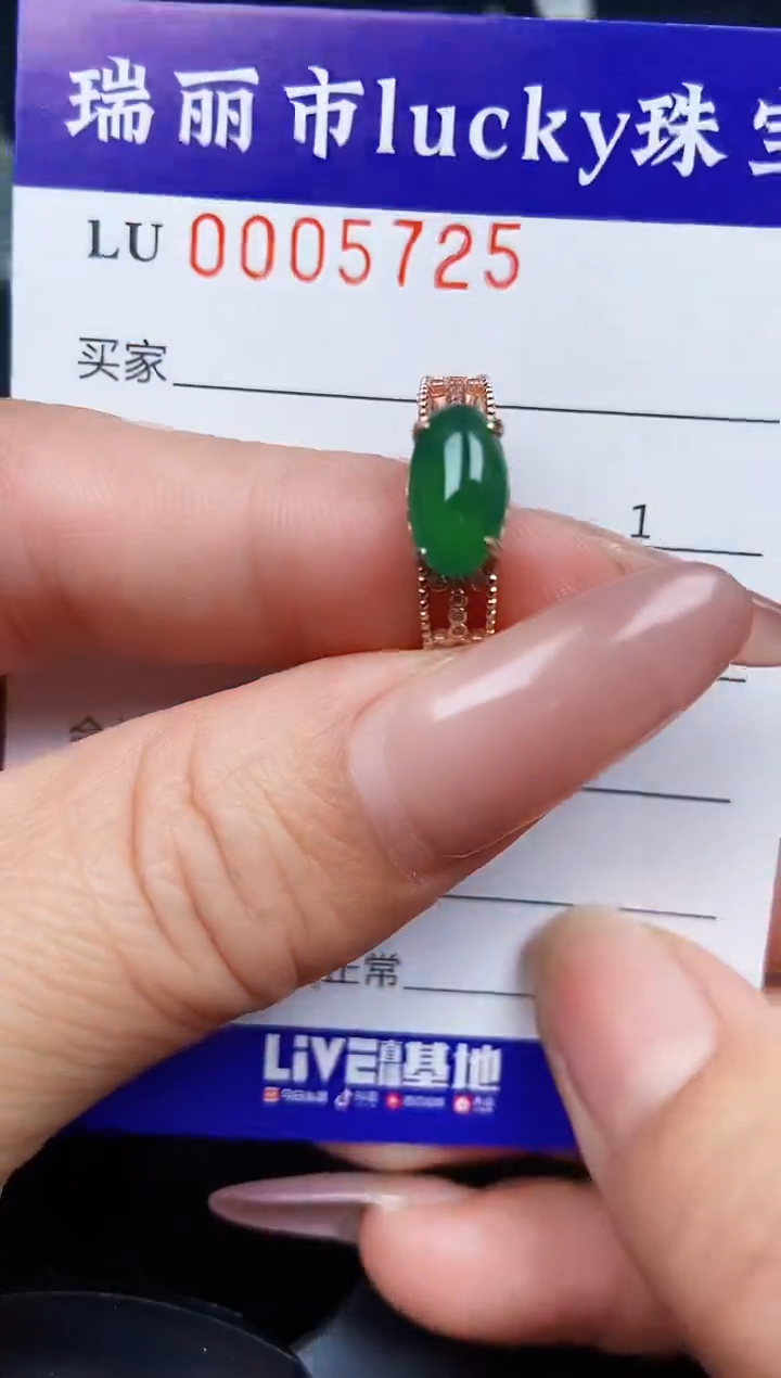 翡翠银S925镶嵌颈饰5725