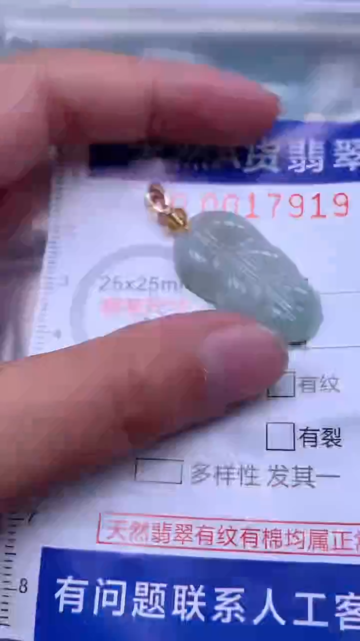 翡翠未镶嵌吊坠(不含链)1