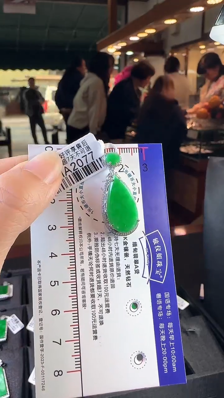 【闪购商品】翡翠颈饰18K金镶嵌HA2077辣绿滴水
