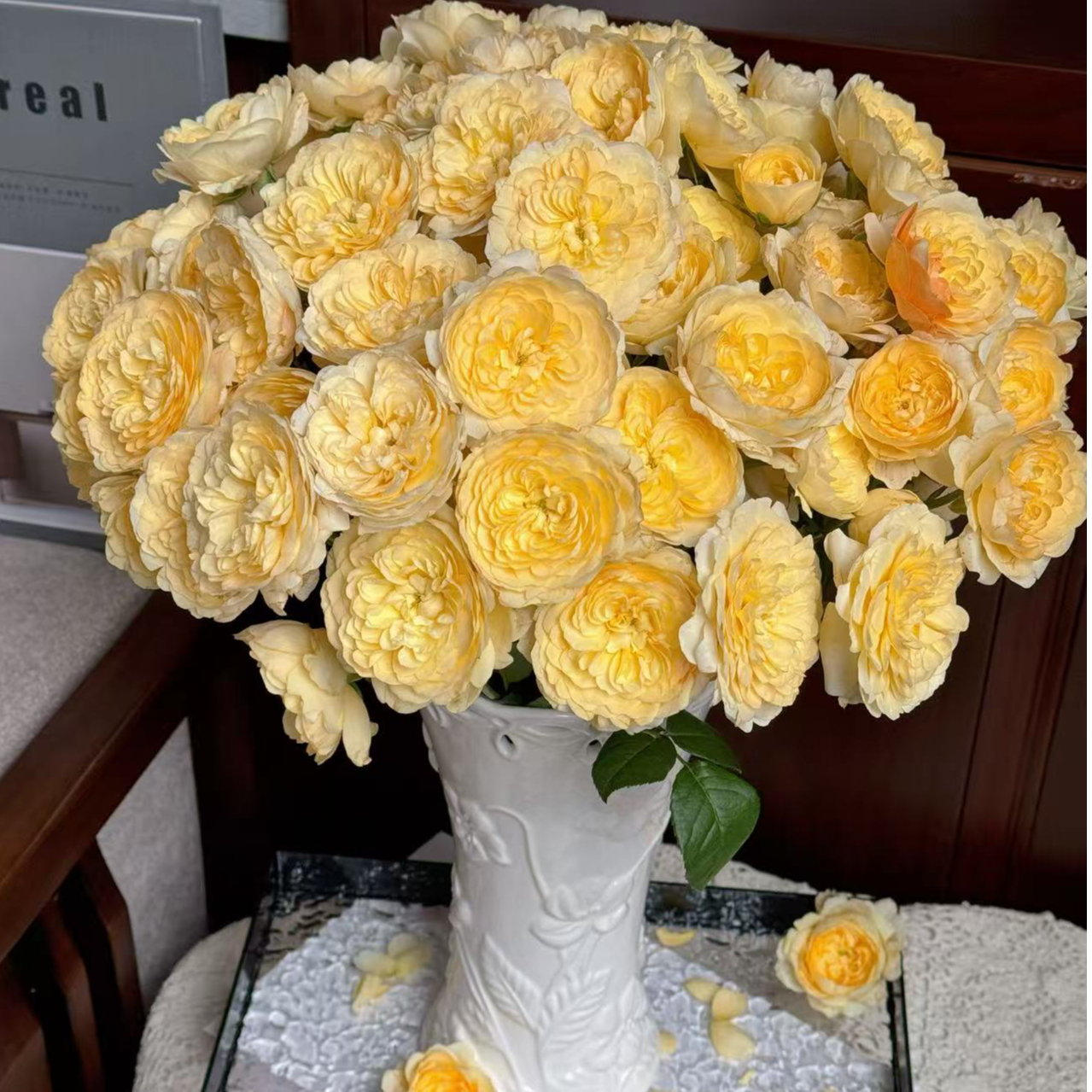 【陌上花开】蜜柚汁阳台-稀有多头玫瑰（有垂感~收到请带包装醒花）