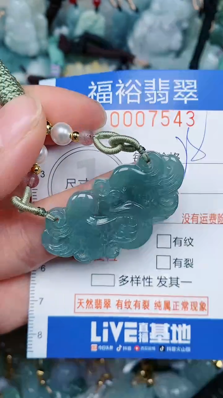 【闪购商品】翡翠颈饰未镶嵌...0007543