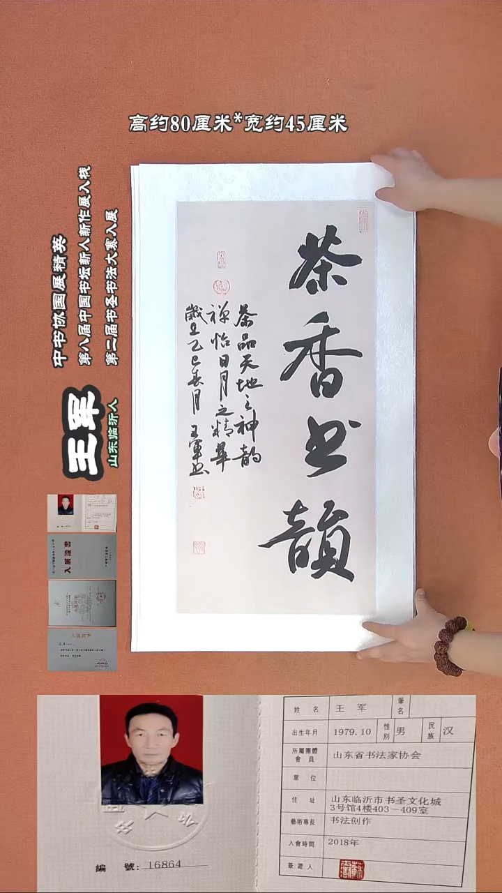 【闪购商品】书法155王军书法作品