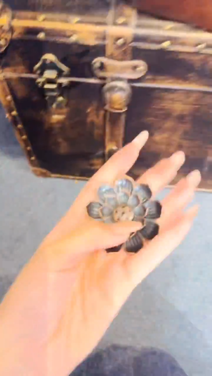 品品品-----莲花