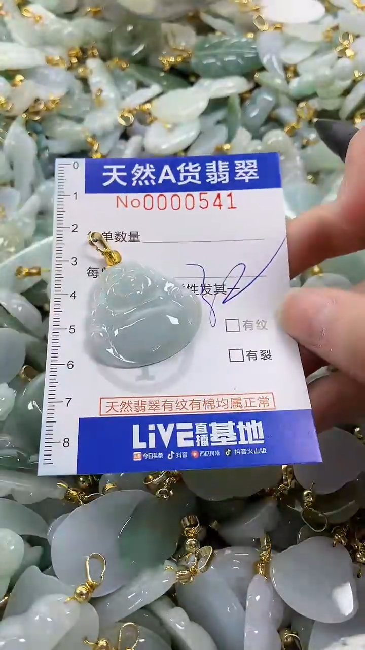 颈饰未镶嵌翡翠纯天然a货翡翠