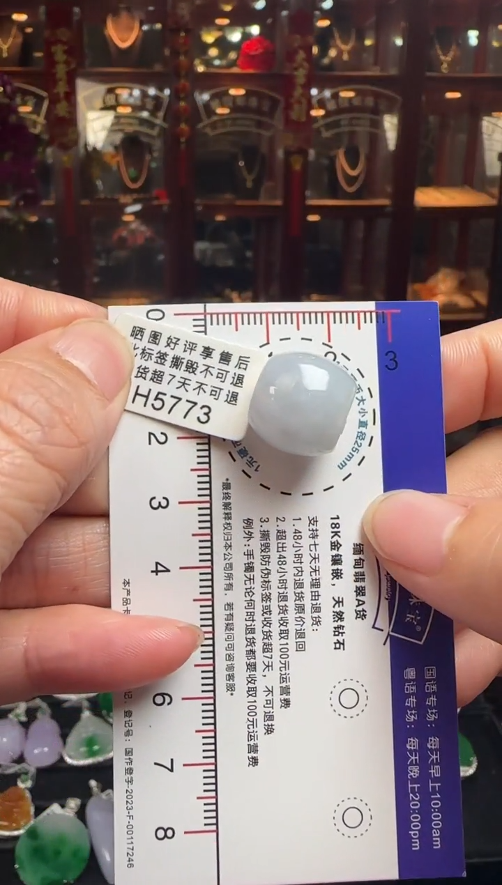 【闪购商品】翡翠颈饰未镶嵌H5773路路通